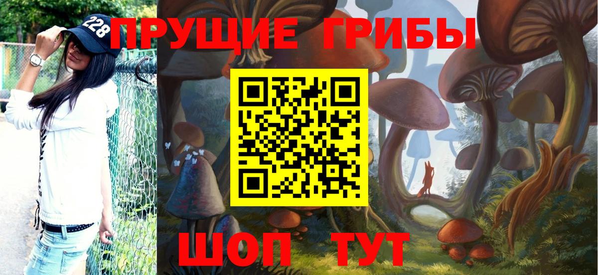 Кольчугино  Галлюциногенные грибы Magic Shrooms  Вход с VPN  Псилоцибиновые грибы ЛСД 