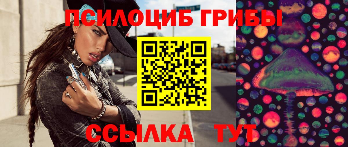 Псилоцибиновые грибы Cubensis Кольчугино